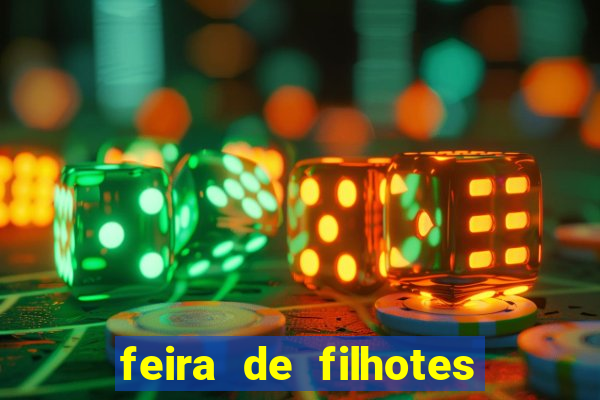 feira de filhotes porto alegre